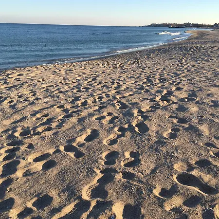 Mitu * 艾福雷诺德