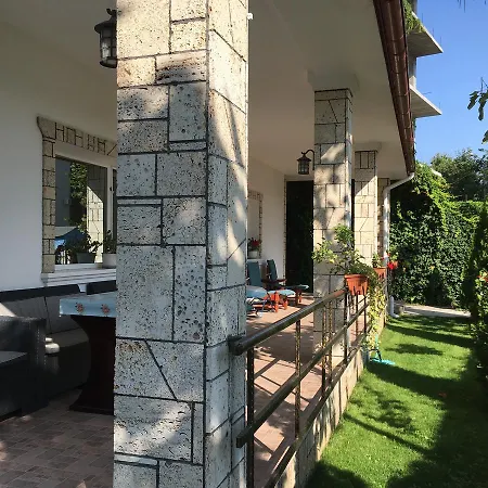 Mitu * 艾福雷诺德